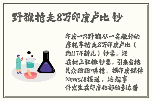 91成品网站w灬源码16章节